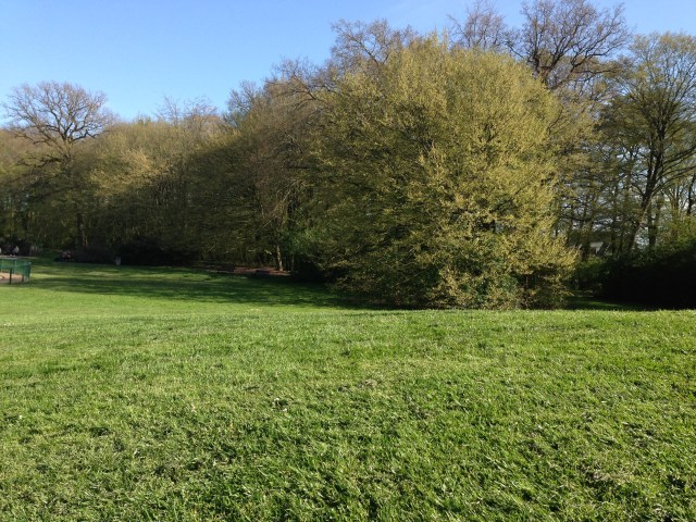 Le parc de Bréquigny à Rennes / Bréquigny Park in Rennes